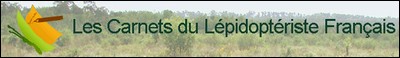Les Carnets du Lepidoptériste français